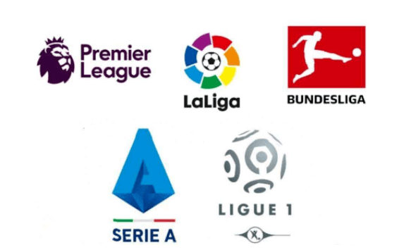 的综合评估 的综合评估